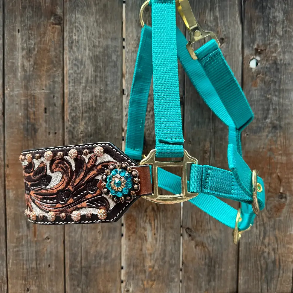 Thumbnail: Nylon Bronc Halter (Horse Size)