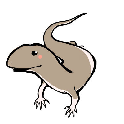 lacerto