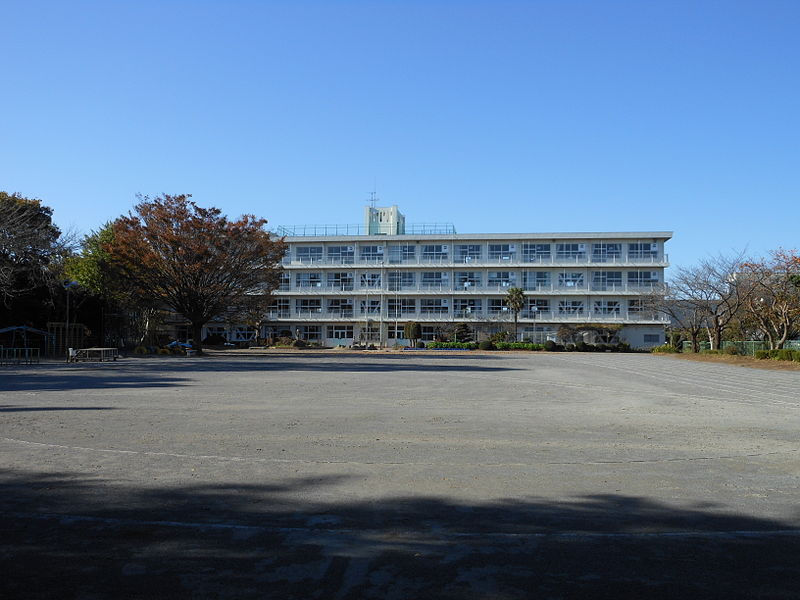ludkorto