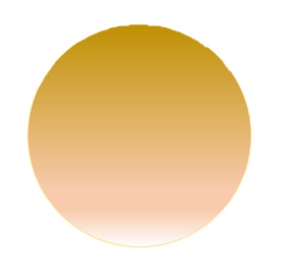 世田谷 婚活  Love Fit 結婚相談所  安心婚活で成婚率もアップ 