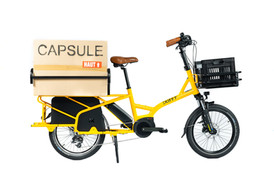 CAPSULE MT JAUNE MANGUE (8).jpeg