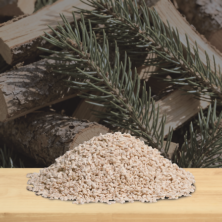 pine_hero.png