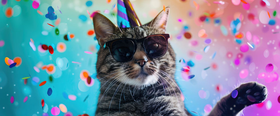 digital-art-cool-cat-wearing-party-hat-sunglasses-birthday-background-bright-colors-happy-