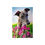 Thumbnail: ' Tulips for a Greyhound 'Print