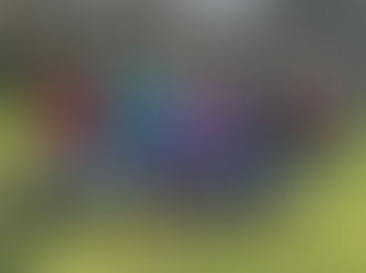 WTF Parkrun Cup Round 4