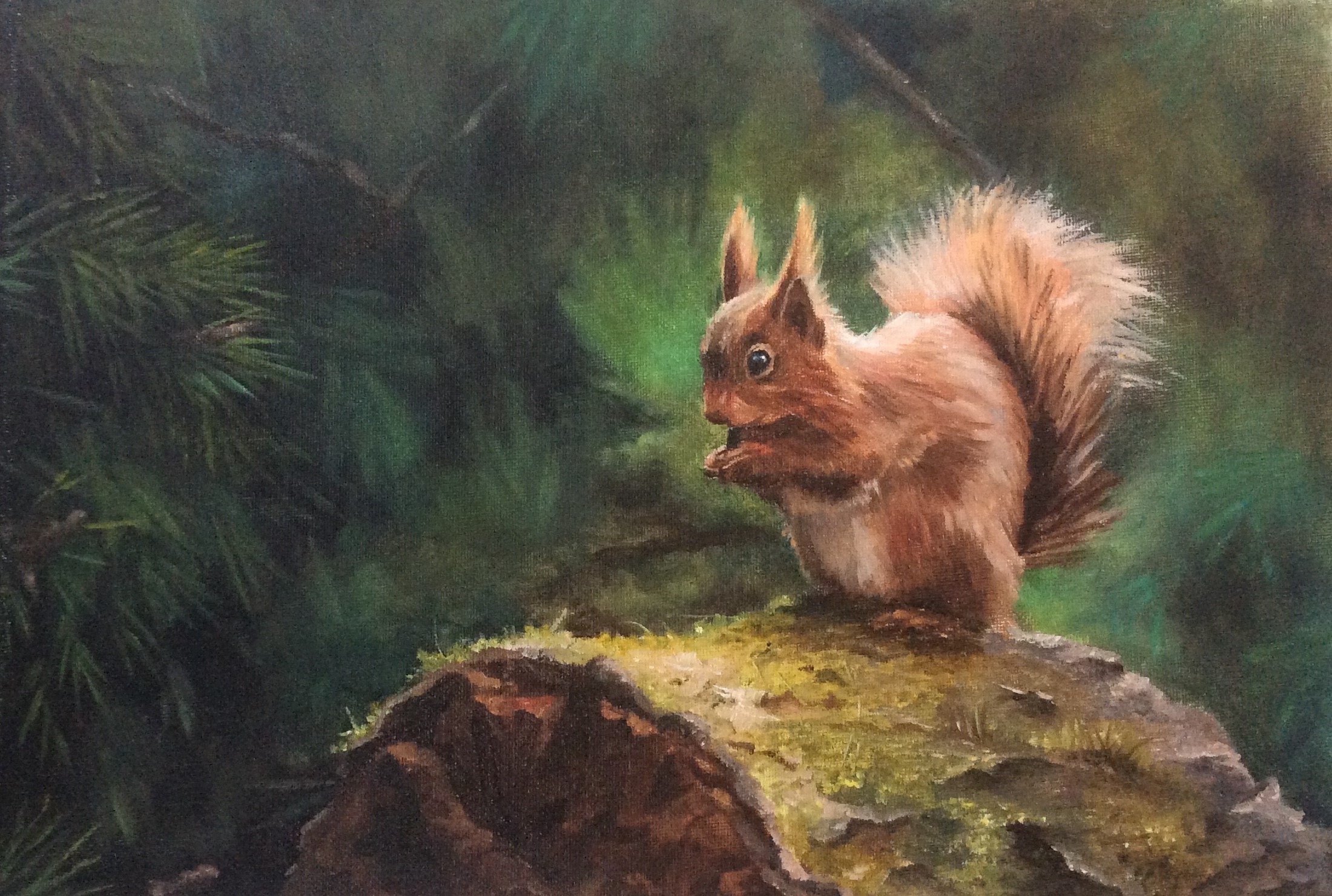 Squirrel on Log