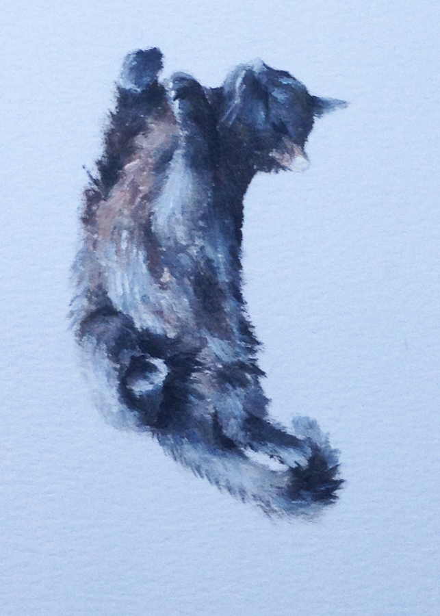 Cat on his back