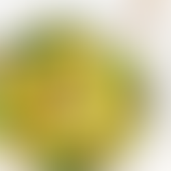 AIP Aromatic vegetable rice