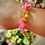 Thumbnail: Lover Girl Bracelet