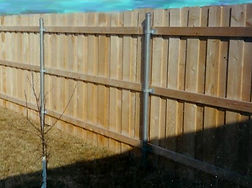 Wood fence on steel posts