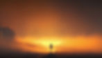 gradient-colour-minimalistic-biomechanical.jpg