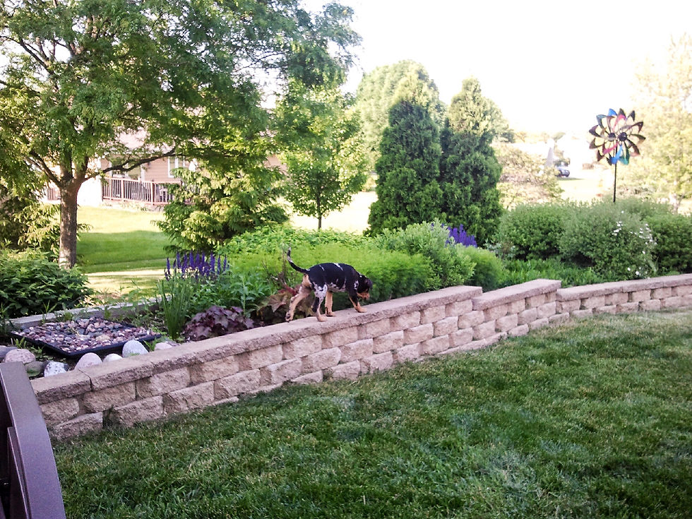 Menomonee Falls House