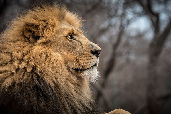 Reisebericht Südafrika - Kletterreise