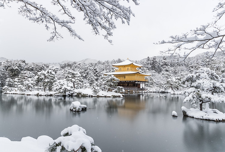 Freeride Reise Japan mit Bergführer