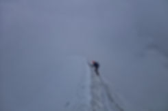 DSC07962_edited.jpeg