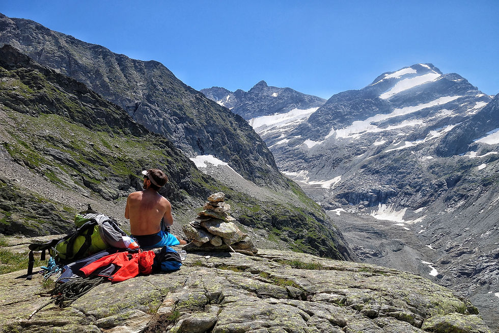 Mont Blanc Royal Traverse Hochtour Chamonix Aiguille du Bionnissay Domes du Miage