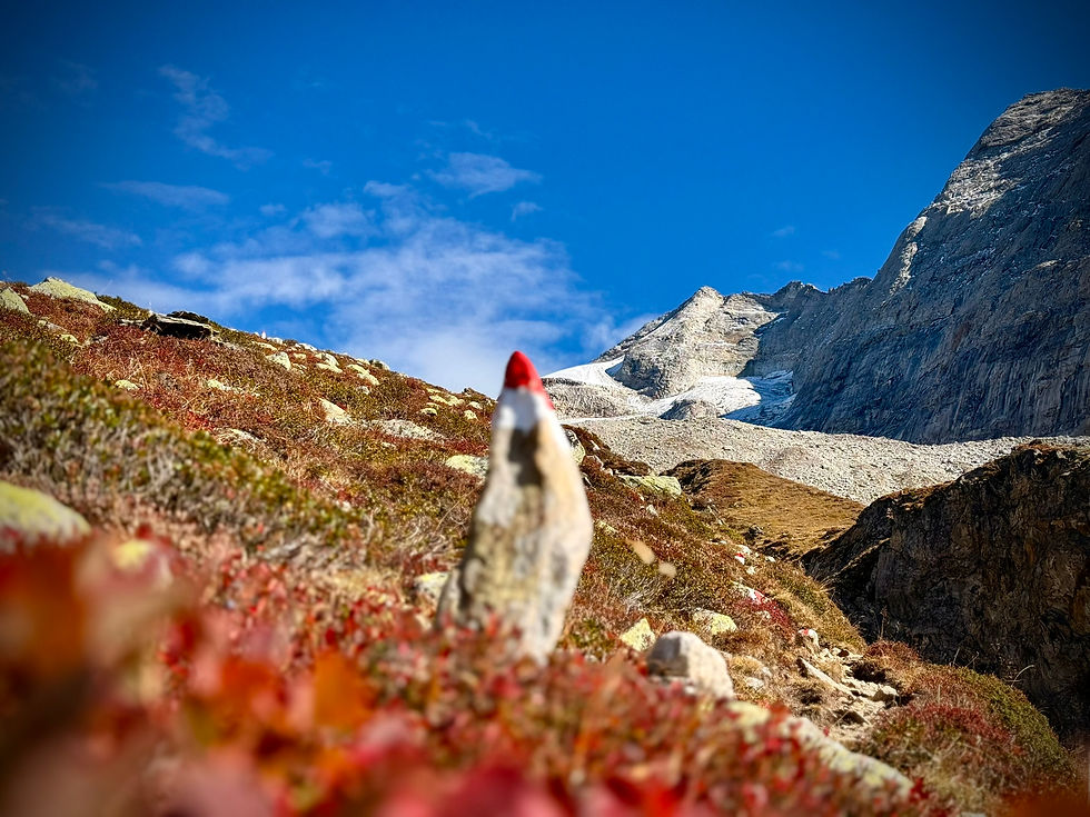 Olperer – Nordgrat, Hochtour mit Bergführer (Zillertaler Alpen)