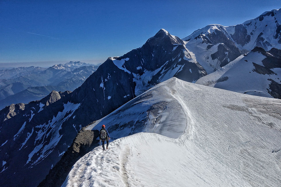 Mont Blanc Royal Traverse Hochtour Chamonix Aiguille du Bionnissay Domes du Miage
