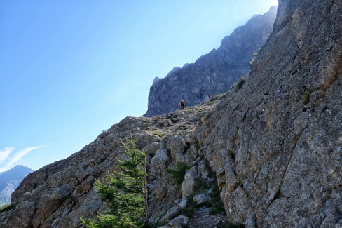 Meije, Traverse, Überschreitung, Hochtour, Dauphine