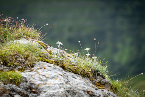 Dolomiten Tris mit Bergführer
