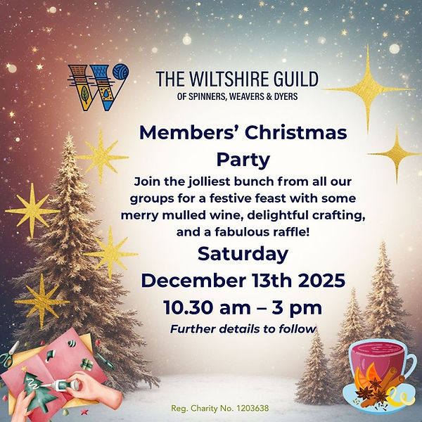 Christmas party 25.jpg