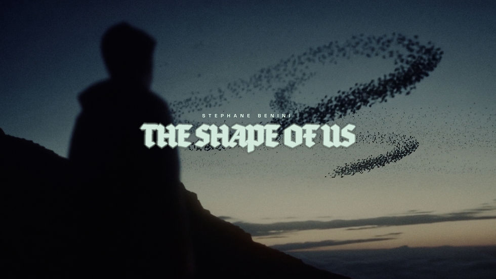 SHAPE OF US