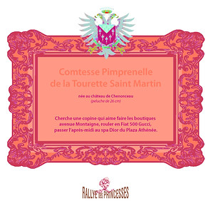 CADRE-rétréci-pimprenelle-vectorisé.jpg