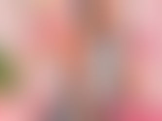 Aniversário Infantil | Nicole | 4 anos