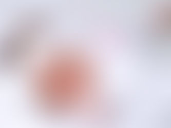 Acompanhamento | Luna Eduarda | 1 mês