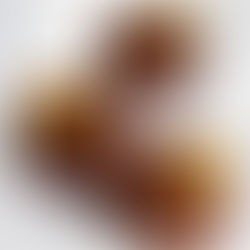 High quality modern french chocolate pastry 
