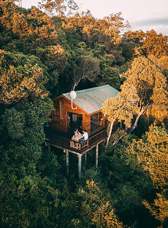 cabane dans la foret
