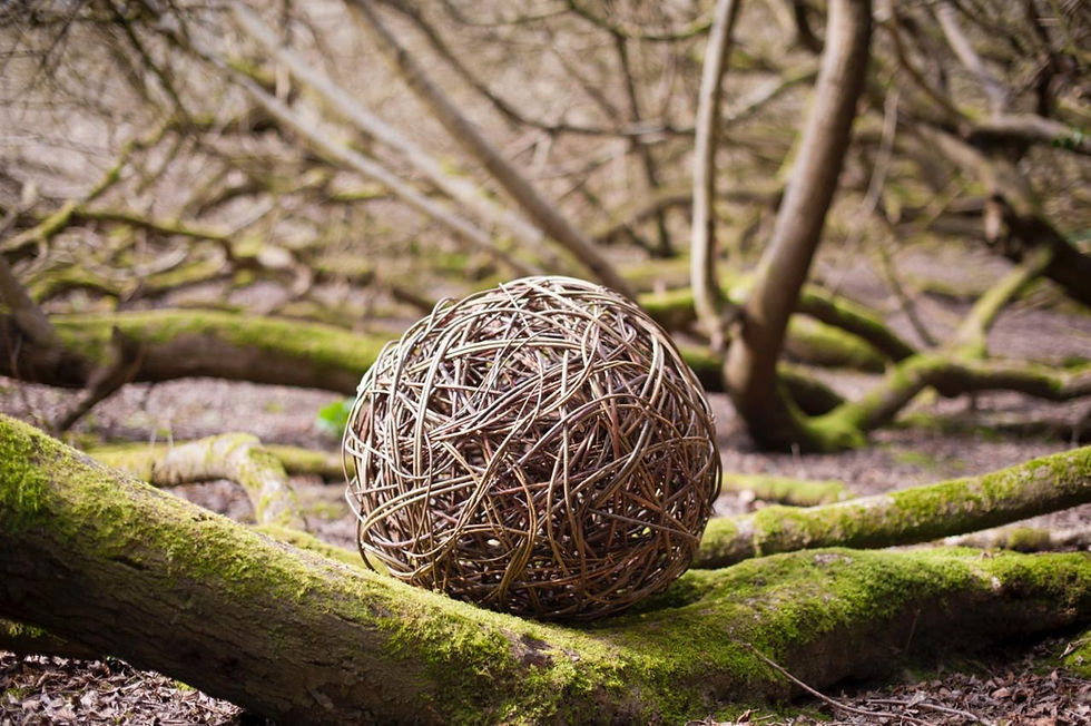 Willow sphere workshop (all day)