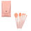 Miniatura: Kit Brocha Trendy X 5 Carterita Beige, Rosada, O Negra