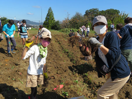 いもほり大会(三木会場)