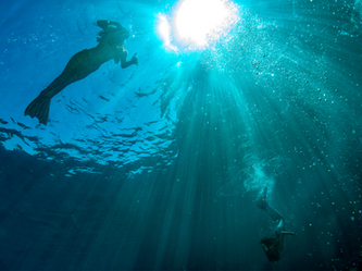 ״אנחנו לא מפתות דייגים״