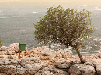 ר' בנימין והציונות שכנגד