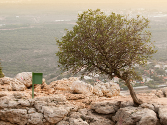 ר' בנימין והציונות שכנגד