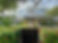 IMG_3562.jpeg