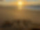 IMG_3485.jpeg