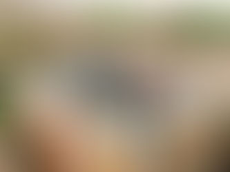 roofing service made for Kolmena Construction at Chicago