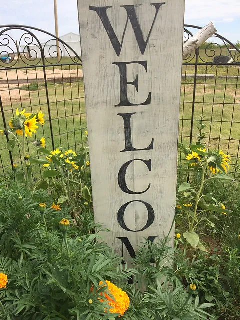 stone mountain ranch puppies