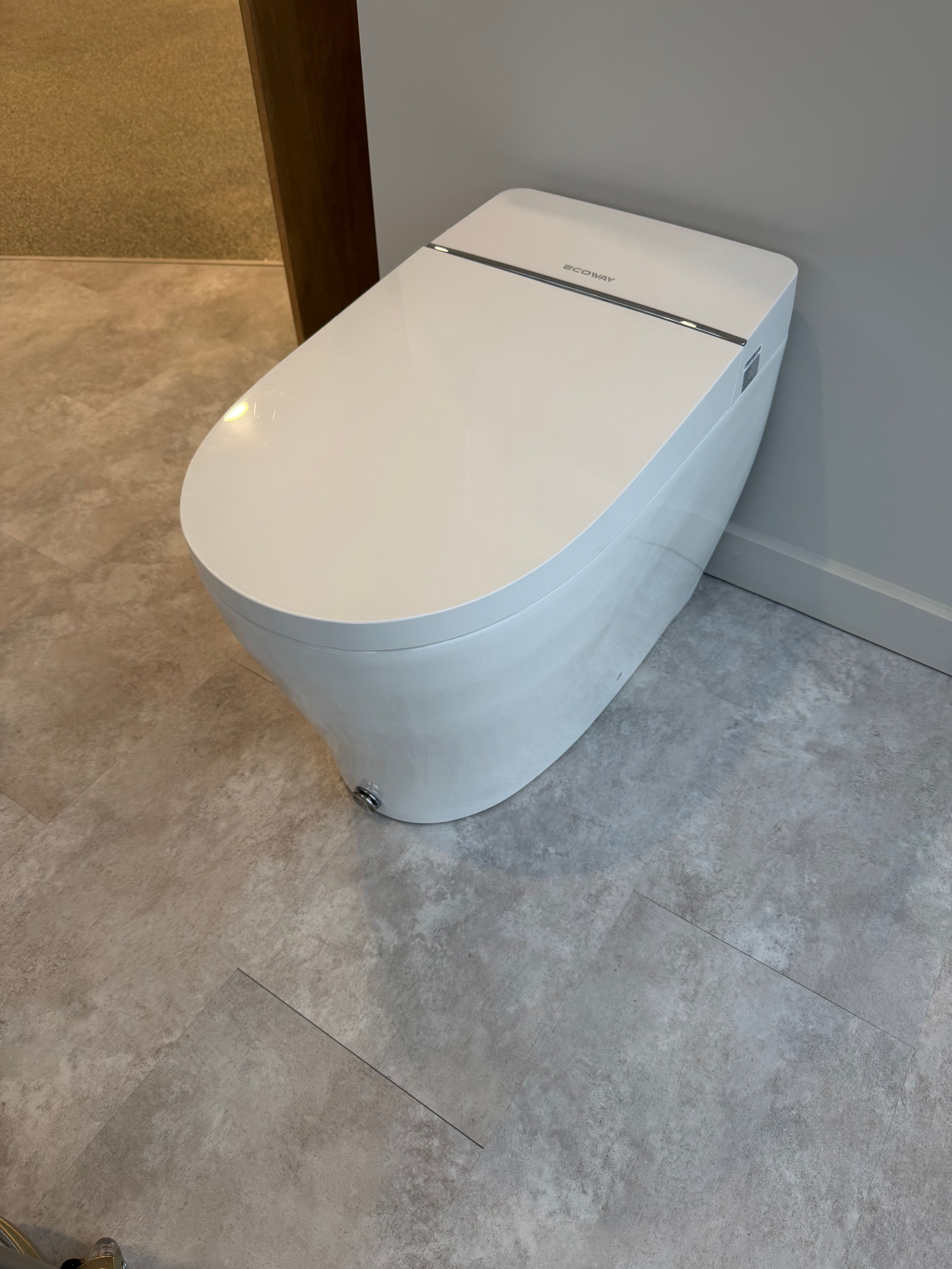 Toilette bidet intelligente Ecoway Lux