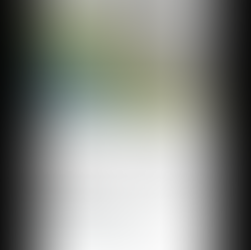 COMISIÓN DE PATRIMONIO. CICLO : INTERVENCIONES EN EL PATRIMONIO. 