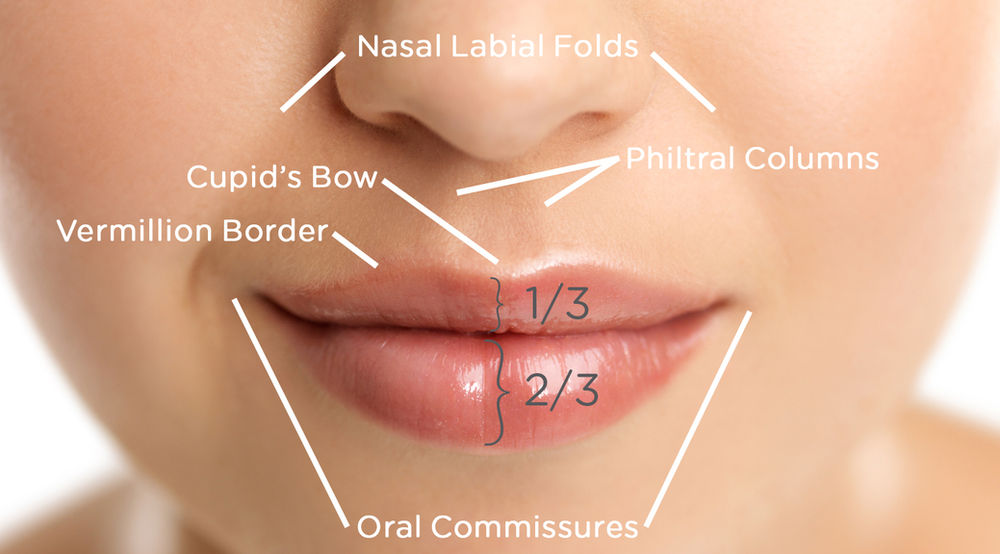 Aesthetic Training Define Lip Vermillion Border using PDO Threads