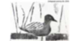 collagraphbird.jpeg