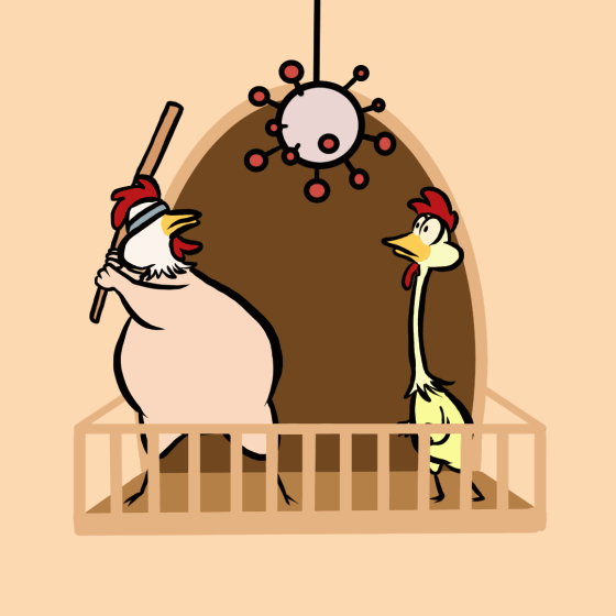bidud loop.gif