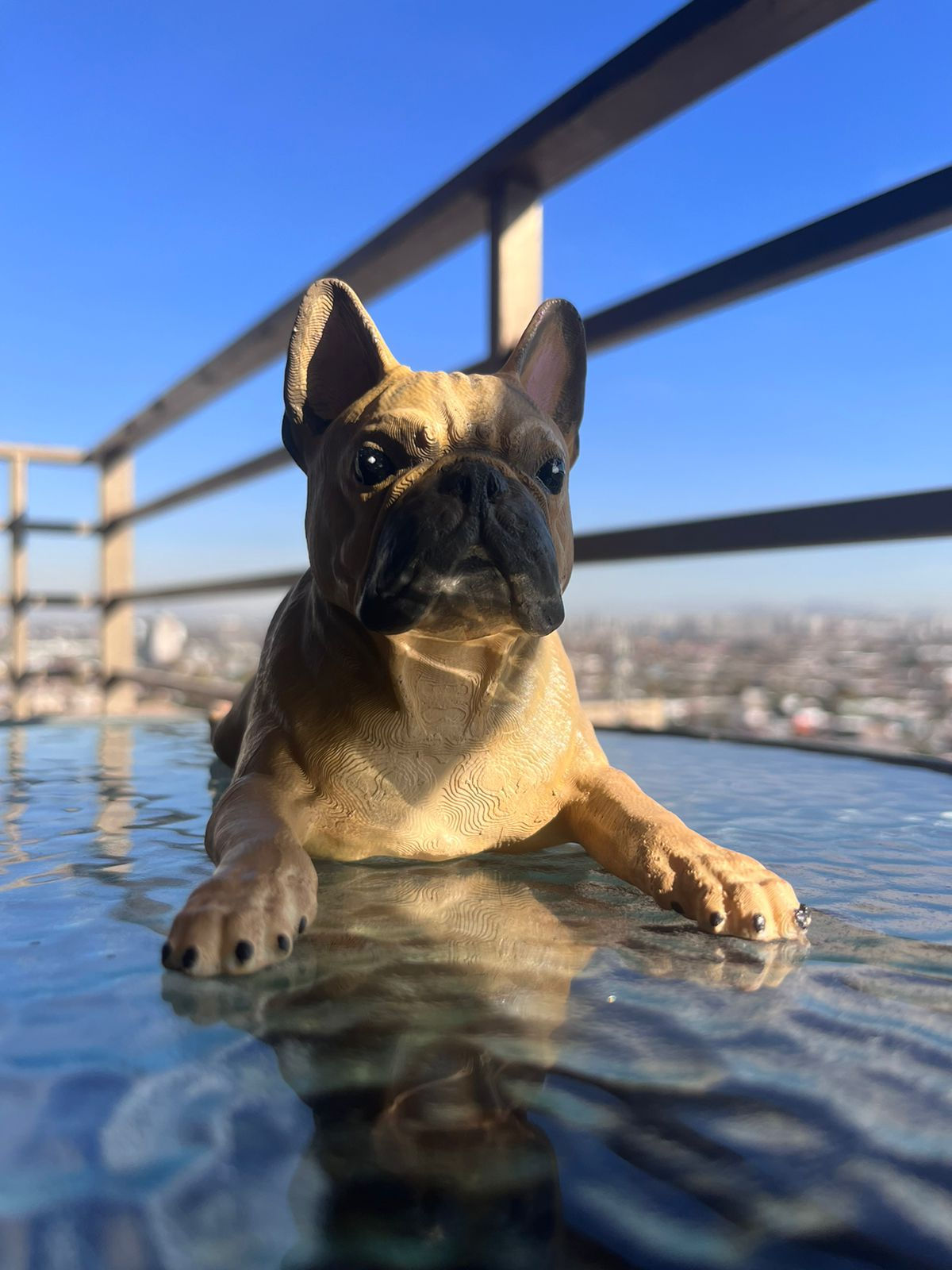 Bulldog Francés