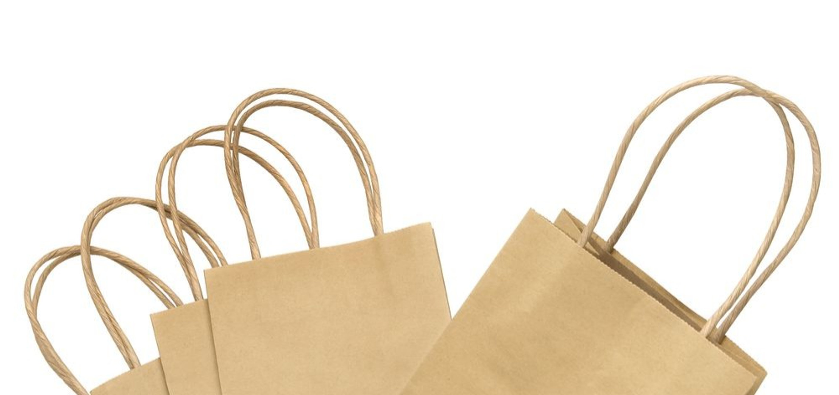 Paper Rope Handles | Paper Bag Shop