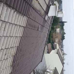 94DC7ABE-5C39-402E-A338-3FFD0B04382A.jpe