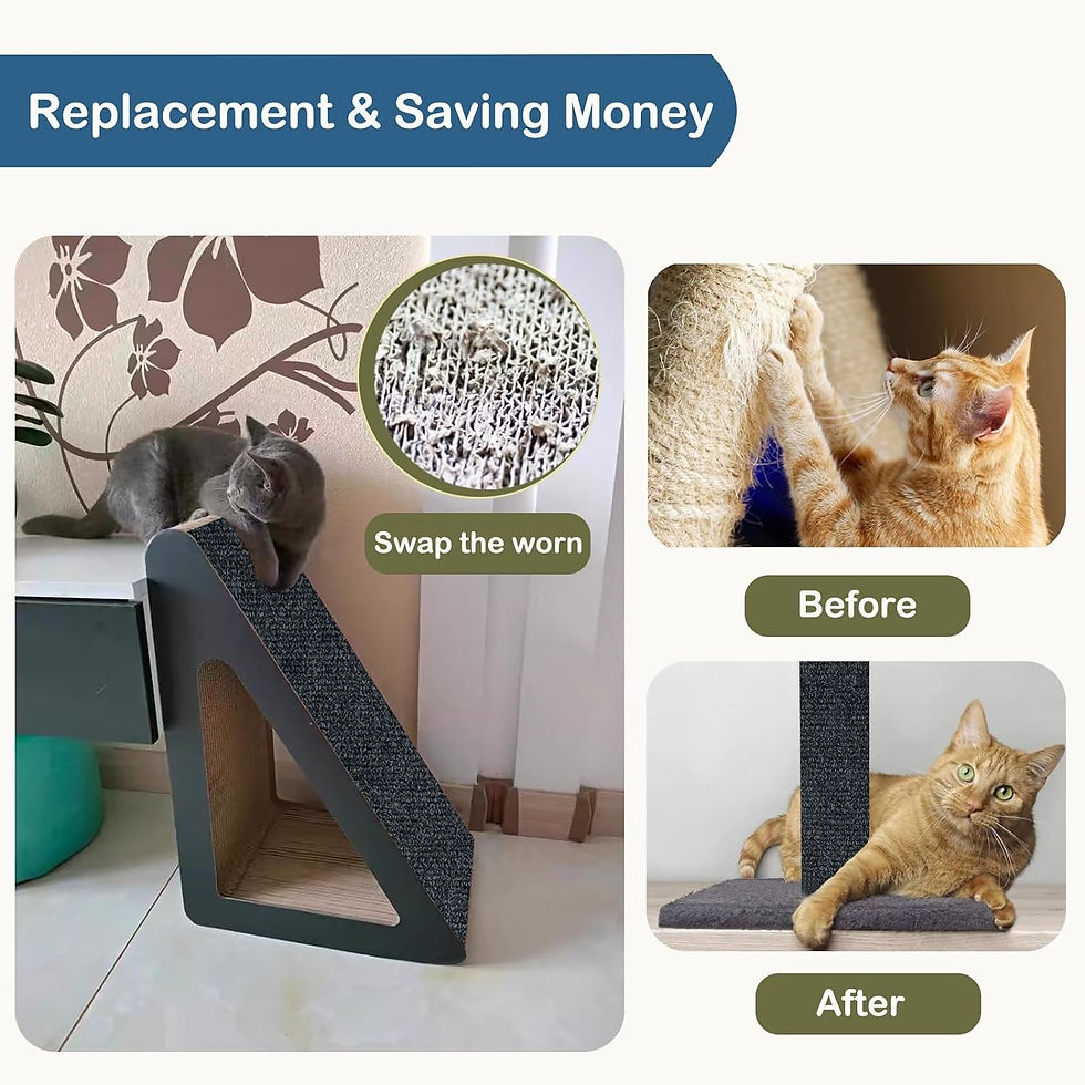 Thumbnail: Anti Cat Scratch Mat Trimmable Self-Adhesive Carpet Mat Pad Cat Pet Scratcher Fu